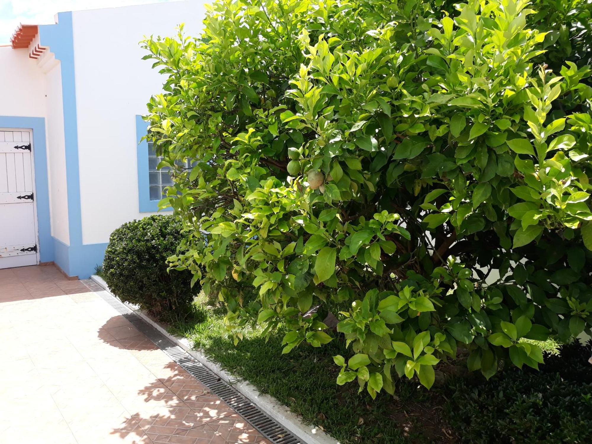 Refugio De Sao Luis Villa Eksteriør billede